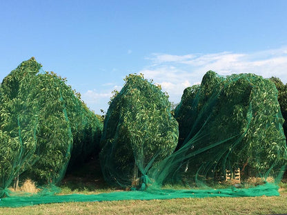 bomen ingepakt door groen vogelnet