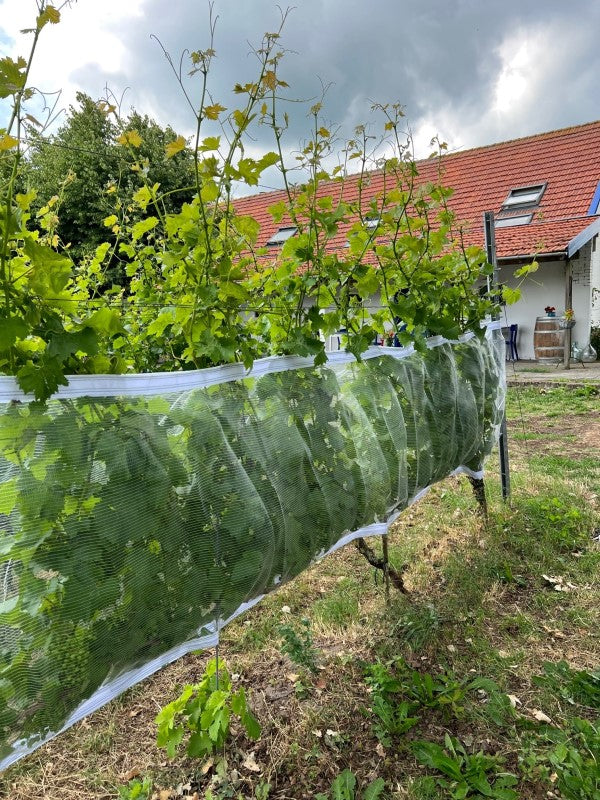 transparant net met klittenband voor de wijnbouw tegen wepsen en hagel