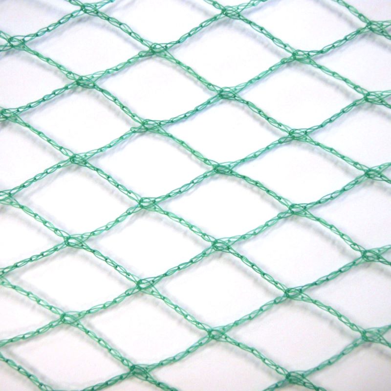 close up product foto van groen vogel net