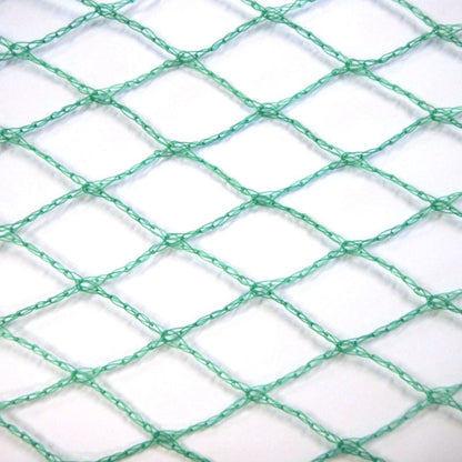 close up product foto van groen vogel net